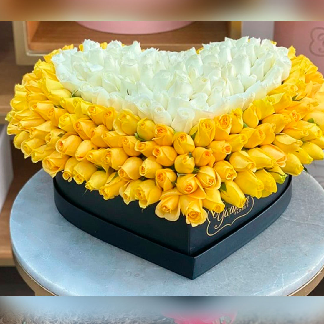 Corazon bicolor