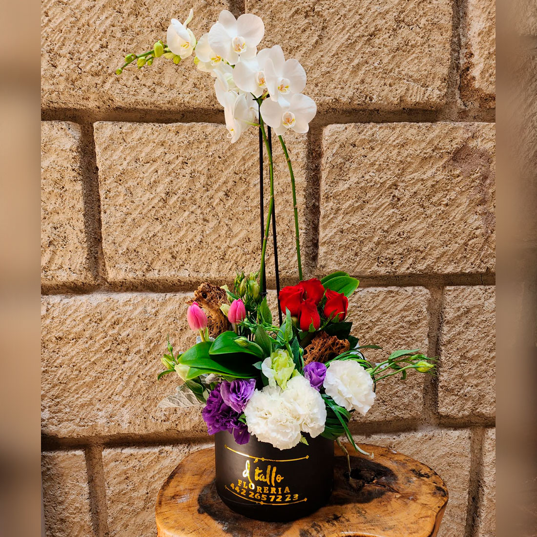 Plantas de orquidea con flores finas