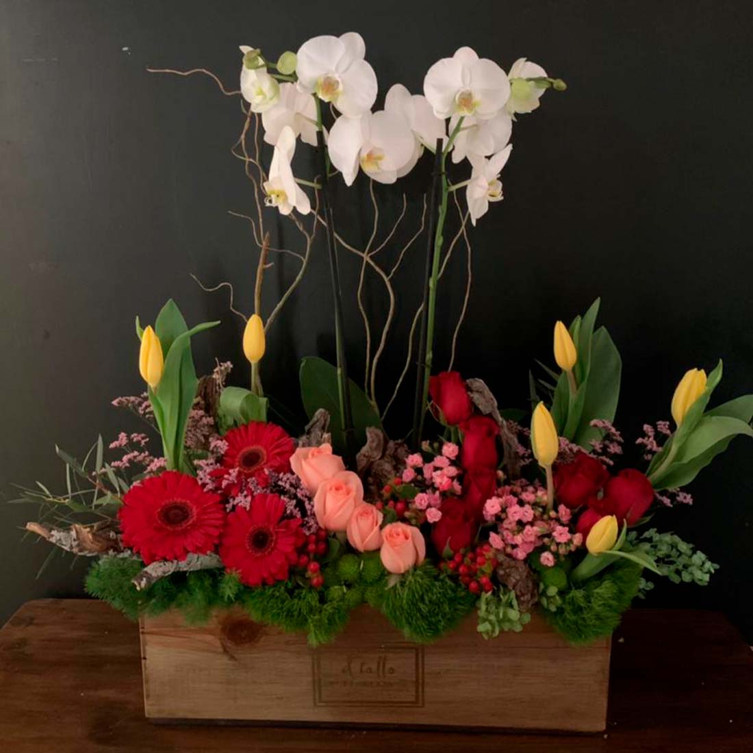 Plantas de orquídea con flores finas