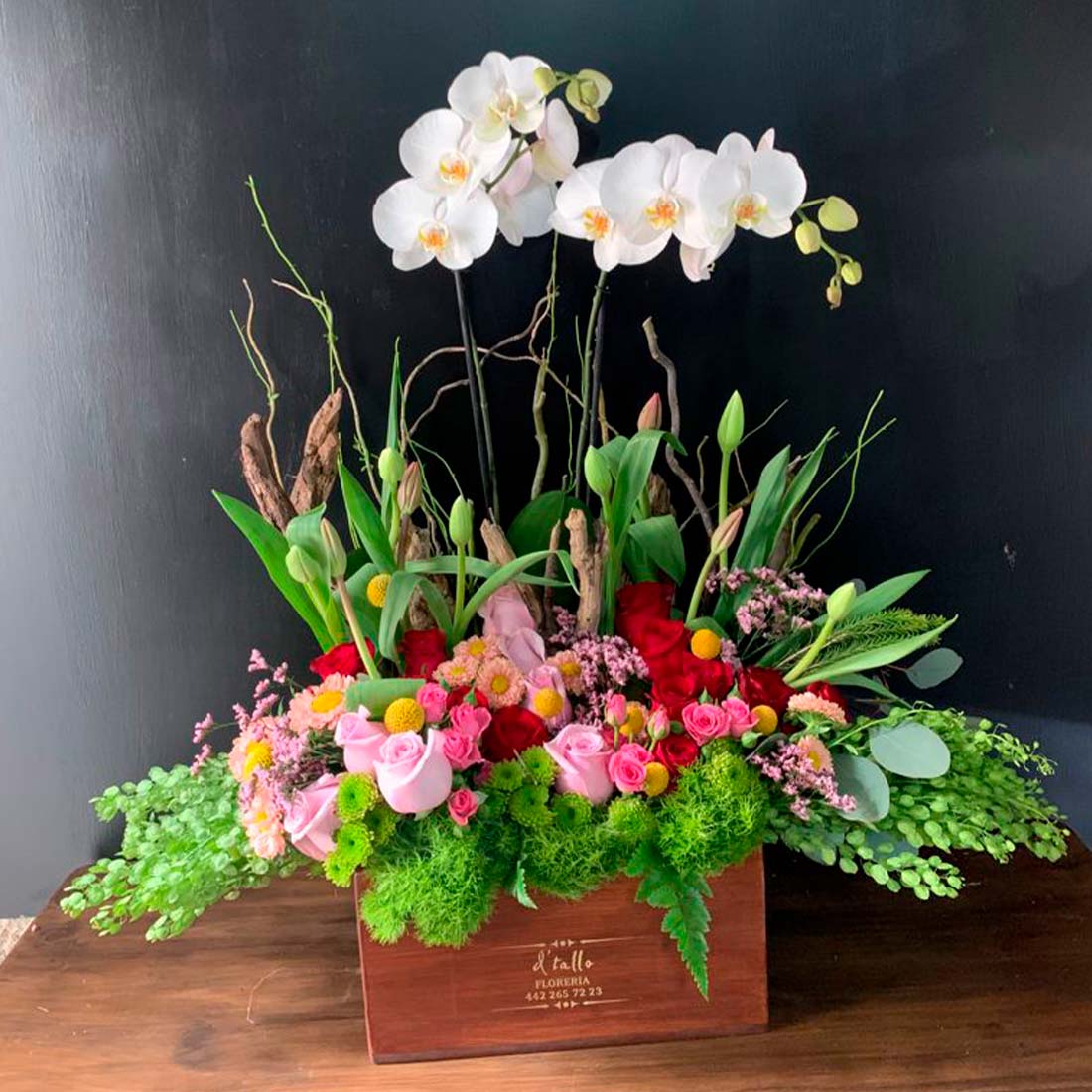 Plantas de orquídea con flores finas