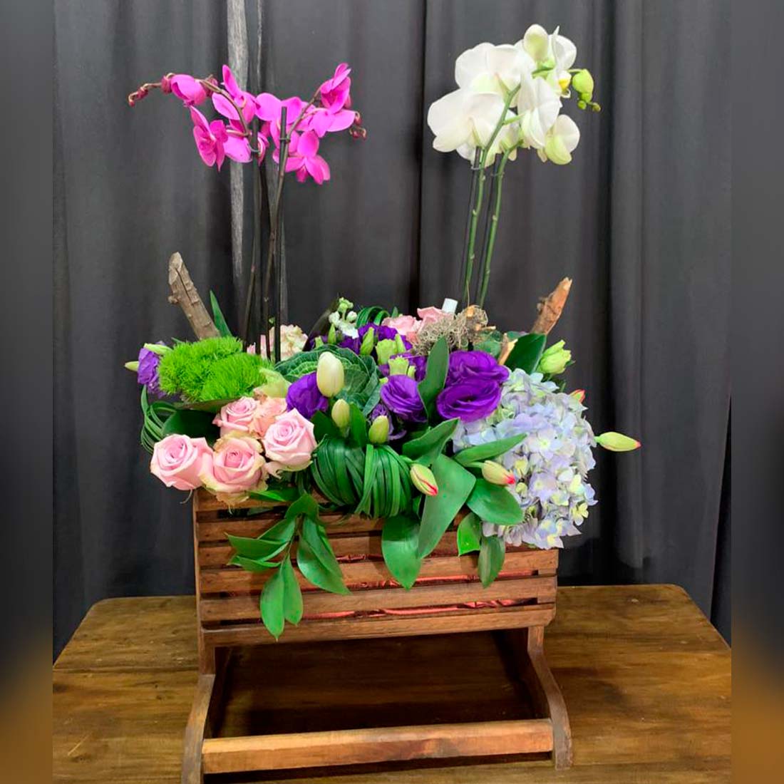 Plantas de orquídea con flores finas