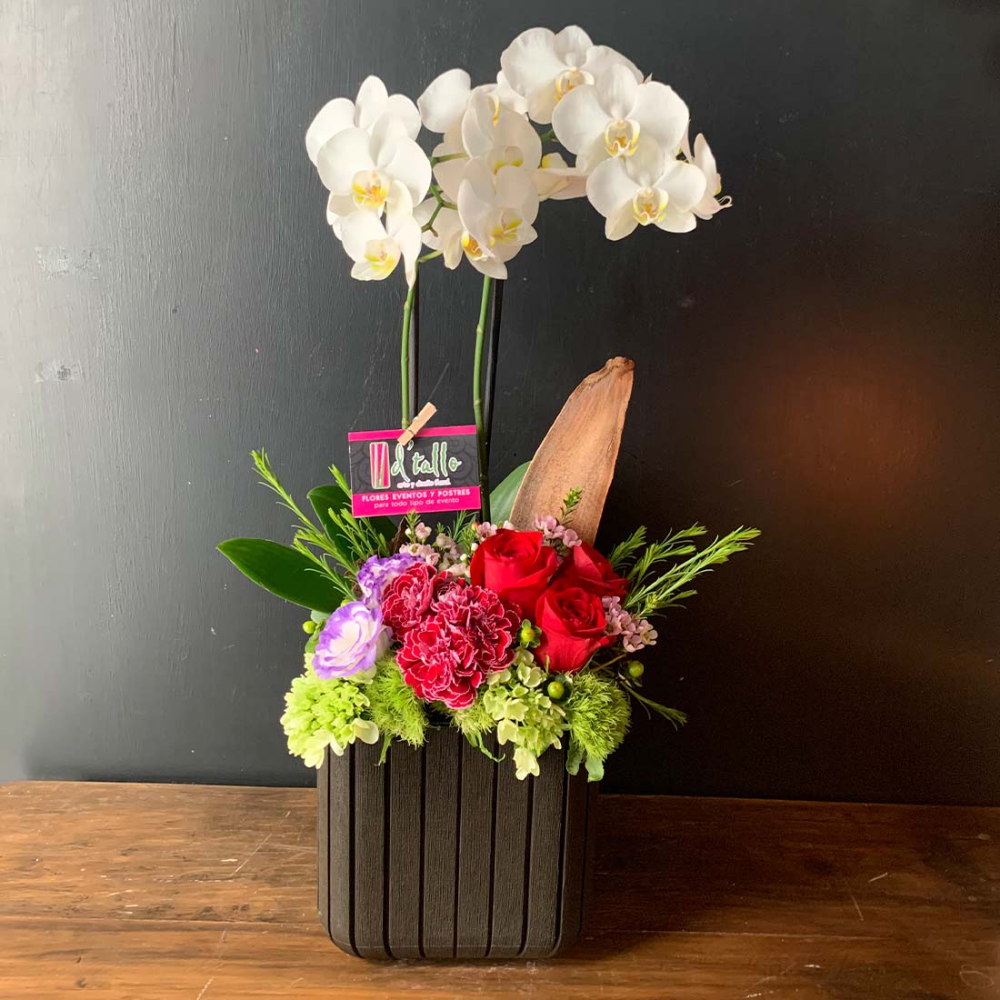 Plantas de orquídea con flores finas