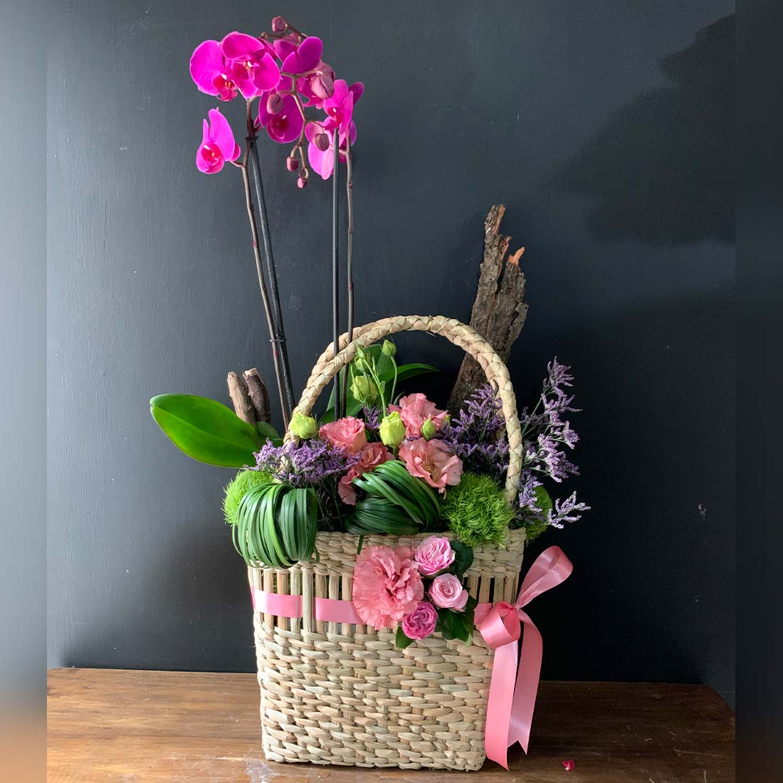 Plantas de orquídea con flores finas