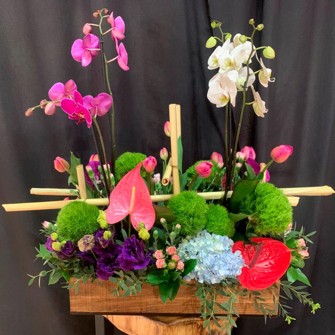 Diseños grandes con plantas de orquidea y flores finas
