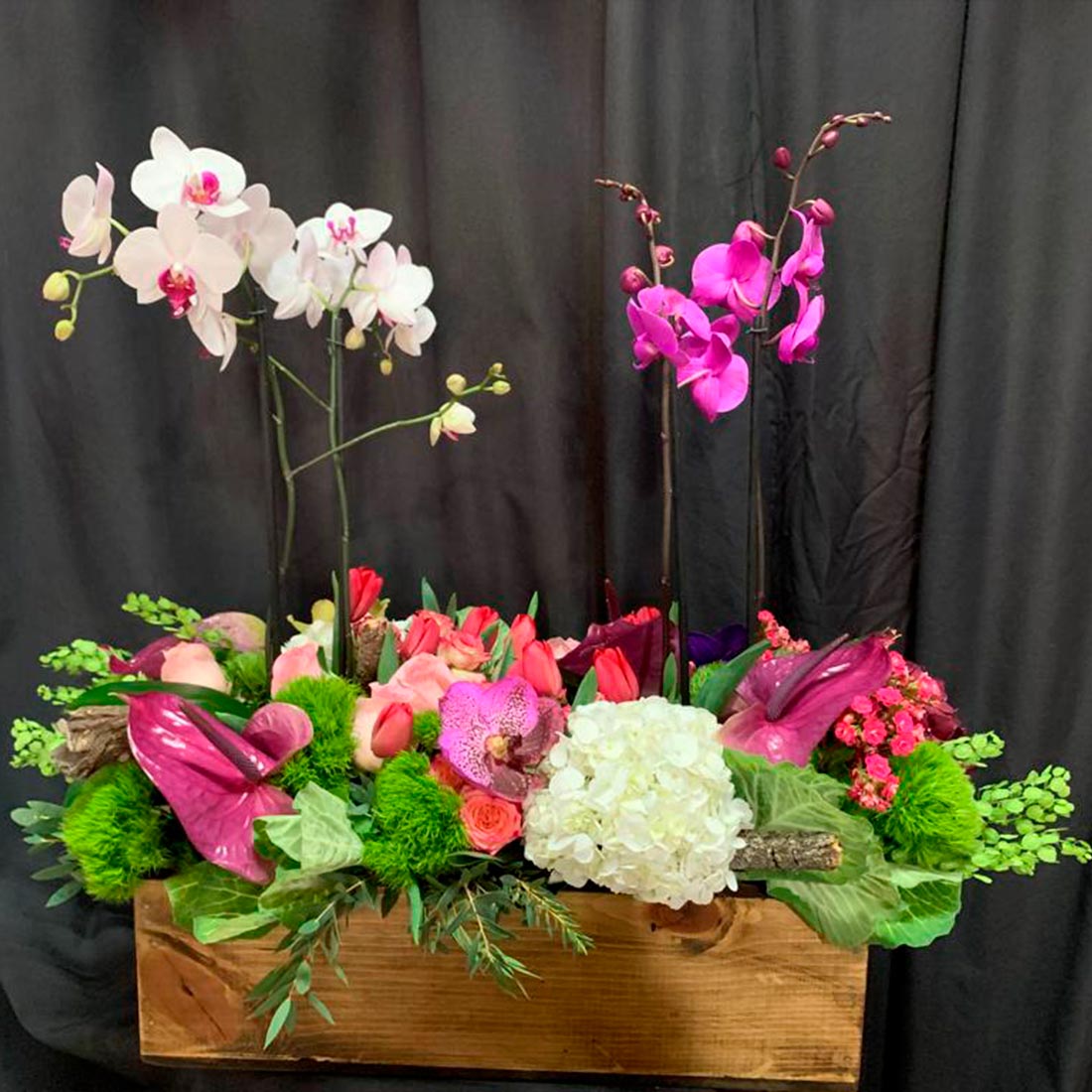 Diseños grandes con plantas de orquidea y flores finas