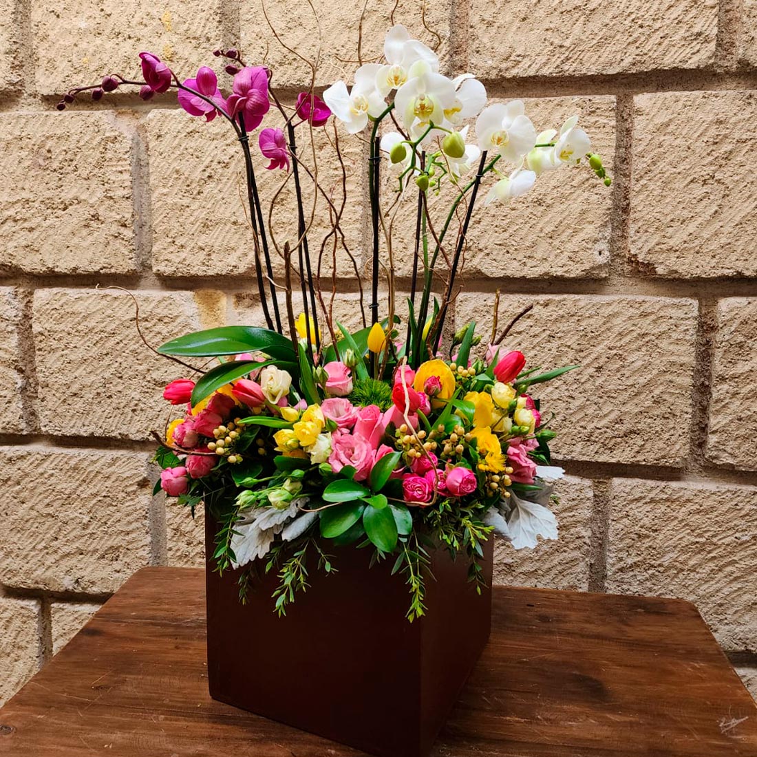 Diseños grandes con plantas de orquidea y flores finas