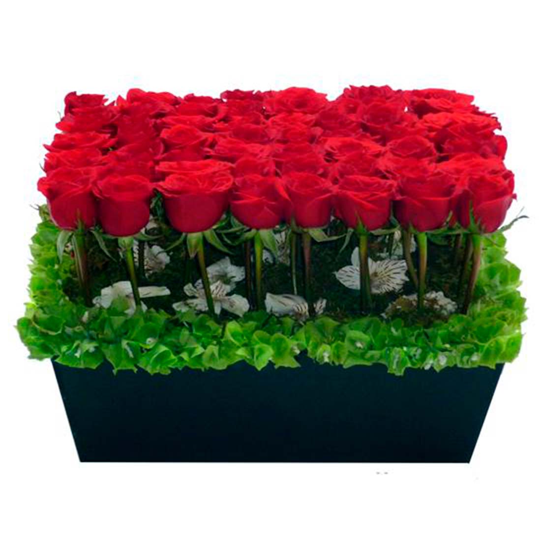Caja de madera con 50 rosas